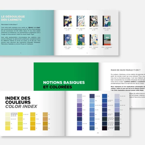 Carnet Color Inspiration Papier Tigre Volume 3